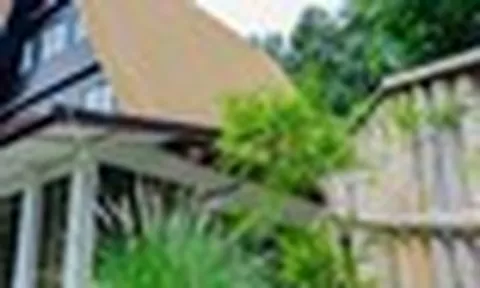 10 loại cây chớ nên trồng sát cửa nhà