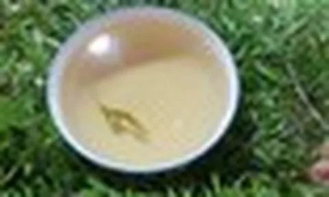 Lời khuyên dành cho tất cả những ai uống nước lá đinh lăng