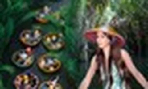 Phát hiện khu rừng nước lợ nuôi sống cả ngàn hộ dân miền Trung, mỗi ngày đón 6.000 khách, vừa được Forbes xếp hạng 20 thế giới