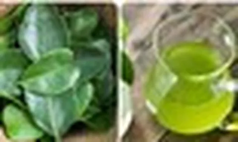 Uống nước lá chanh có tác dụng gì?