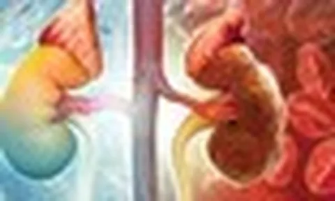 Thói quen hàng đầu gây hại cho thận: Nhiều người làm từ khi còn trẻ mà không biết