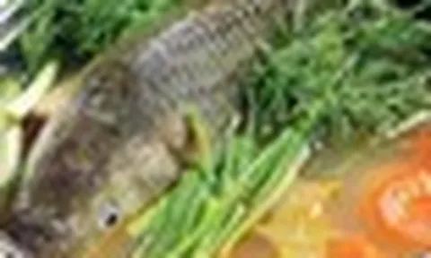 5 lời khuyên cho những gia đình thường xuyên ăn cá trắm