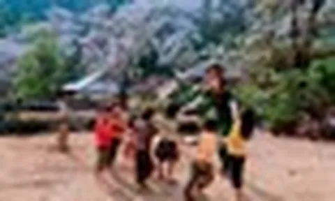 Phát hiện bản làng giữa hơn 1.200 cây cổ thụ ở Việt Nam, đến mùa hoa cả sườn núi phủ trắng như tuyết