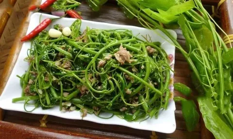 Loại rau dại có tên "bốc mùi" nhưng là vị thuốc hỗ trợ tiêu hóa và giải độc