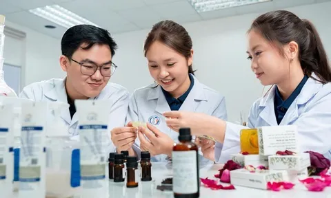 Hội đồng chuyên gia không có quyền quyết định cấp học bổng Quốc gia