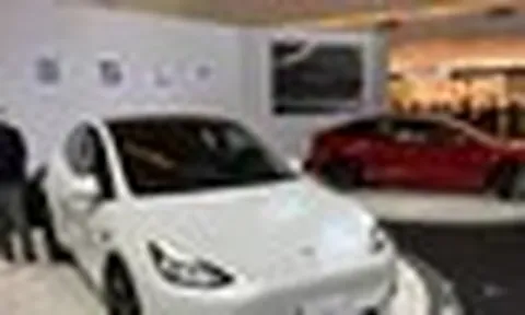 Động thái mới của Tesla ở Việt Nam