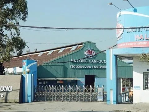 Nhà máy Đồ hộp Hạ Long - Hải Phòng tạm dừng sản xuất sau khi Tổng Giám đốc bị bắt