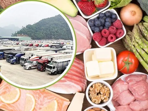 Doanh nghiệp lưu ý: Những điểm mới về điều kiện đảm bảo an toàn thực phẩm theo Nghị định 46/2026/NĐ-CP