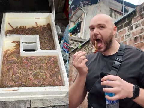 Tưởng bánh rán, khách Tây sửng sốt khi thấy nguyên liệu bò lúc nhúc