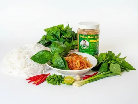 Mắm bằm Hòa Long thơm nồng vị biển