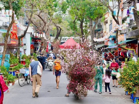 Sắc xuân trên chợ hoa Hàng Lược: ‘Hơi thở’ Tết giữa lòng Hà Nội
