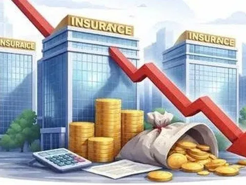 Bức tranh lợi nhuận của các doanh nghiệp ngành bảo hiểm trong năm 2025