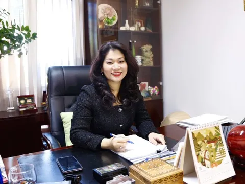 Văn hóa đối ngoại trở thành điểm sáng, tạo động lực để phát triển bền vững