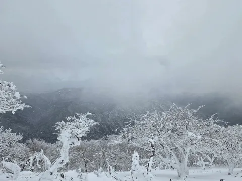 Cô gái Việt Nam tử vong ở sườn dốc khi leo núi tuyết ở Nhật một mình