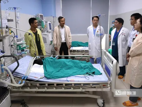 Cuộc chạy đua đưa "thần dược" giải độc 8.000 USD cứu bệnh nhi ngộ độc cá ủ chua