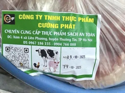 Vụ 300 tấn thịt lợn bệnh tuồn vào trường học, Bộ Y tế chỉ đạo nóng