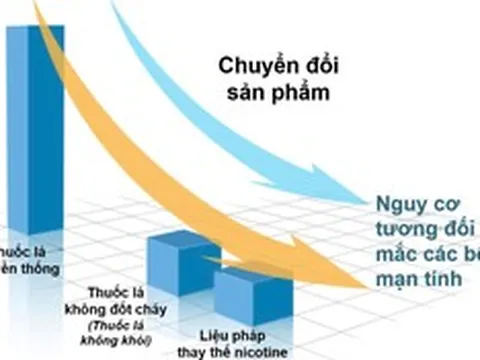 Trung Quốc tái định vị chuỗi giá trị sản phẩm nicotine toàn cầu