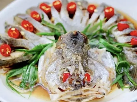 Loại cá được khen "tốt ngang cá hồi" rất phổ biến ở Việt Nam, hễ ra chợ là thấy