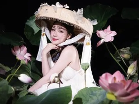 Đổi lời ca khúc "Người Việt mình thương nhau" của Cẩm Ly, Hòa Minzy