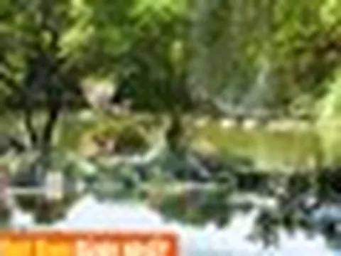 Việt Nam có 1 nơi lạnh âm 15 độ, sở hữu 8000 chậu lan đắt đỏ mà chỉ cách TP.HCM 1 tiếng đi xe