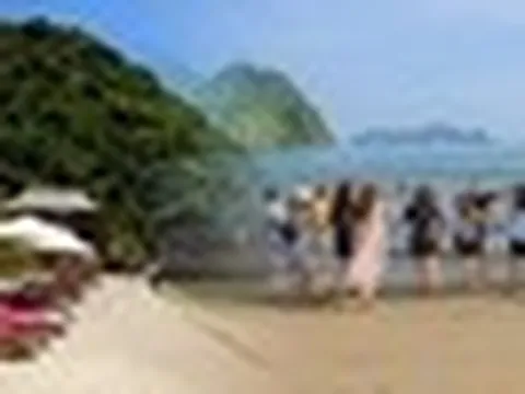 Chơi gì ở bãi biển Cát Bà, Cát Hải?