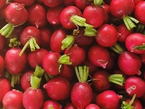 Loại củ được ví như “nhân sâm của người nghèo”, cứ ra chợ là thấy