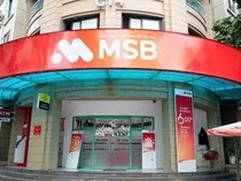 ROX Living mua vào hơn 18% lượng cổ phiếu MSB đã đăng ký