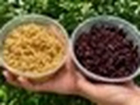 Ăn cơm rượu nếp, thổi nồng độ cồn có lên không?