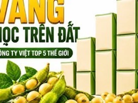 Được GS.TS Trần Đình Long ví như “vàng mọc trên đất”, loài cây này giúp một doanh nghiệp Việt vào Top 5 thế giới, doanh thu hơn 4.100 tỷ đồng/năm