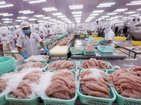 Doanh thu quý II giảm 74%, doanh nghiệp thủy sản vẫn báo lãi tăng hơn 200%, tiền chiếm 73% tài sản: Điều gì đã xảy ra?