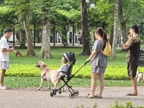 Thông tin quan trọng liên quan đến toàn bộ người nuôi động vật, thú cưng từ 1/8