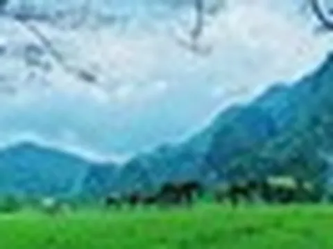 Không phải Sa Pa, đây là nơi được ví như "Mông Cổ thu nhỏ" của Việt Nam: Vừa lọt đề cử tốt nhất thế giới