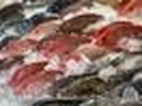 Người bán cá tiết lộ quy tắc “5 không" khi mua cá