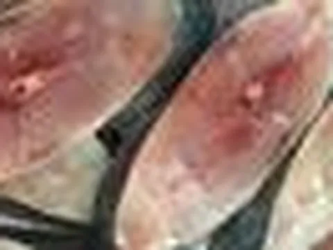 5 loại cá giá rẻ mà bổ ngang cá hồi, cứ ra chợ là thấy