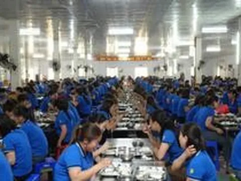 Công ty may có quỹ phúc lợi gần bằng vốn điều lệ cho gần 1.700 nhân viên: Lớn hơn cả các đối thủ có hàng chục nghìn nhân viên