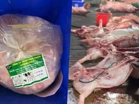 Vụ 300 tấn thịt lợn bệnh: Gói thầu hơn 10 tỷ đồng đưa thực phẩm bẩn vào trường tiểu học ở Hà Nội