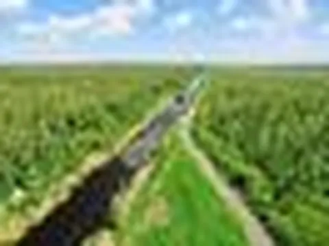 Việt Nam có khu rừng thuộc dạng hiếm bậc nhất thế giới, chia đôi bởi 1 dòng sông, 3 tổ chức cùng vinh danh
