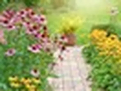 Loại cây nên trồng ngay bây giờ để sắp tới tha hồ hưởng lợi: Chuyên gia nói “mọi khu vườn nên có”