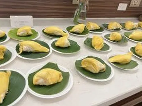 CLIP: Thưởng thức buffet sầu riêng ở Cần Thơ