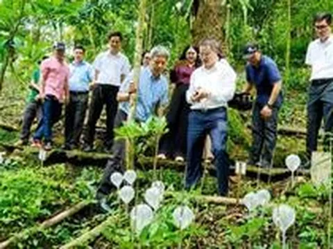 Dự án trồng sâm Ngọc Linh 12.300 tỷ đồng của ông Trần Bá Dương có diễn biến mới