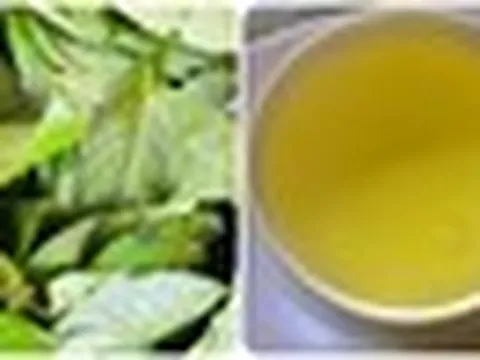 Điều gì sẽ xảy ra với cơ thể nếu bạn uống nước chè xanh mỗi ngày?