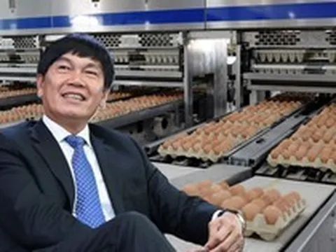 Cổ phiếu HPA giảm 24% sau 6 tháng lên sàn, liên tục dò đáy mới
