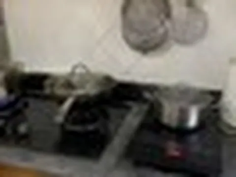 Lời khuyên cho những gia đình đang dùng song song bếp từ và bếp gas