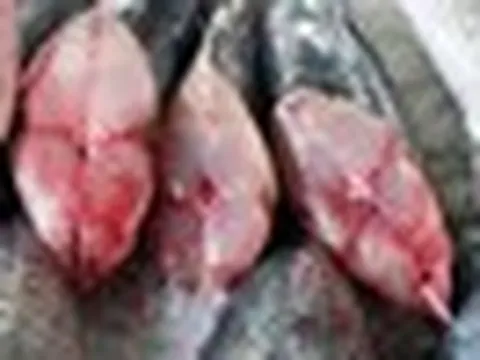 6 loại cá chứa lượng thủy ngân cao nhất