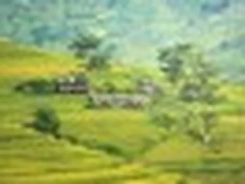 Đến Sa Pa mùa lúa chín, ngoài săn ảnh còn có một cách khác để ngắm núi rừng Tây Bắc