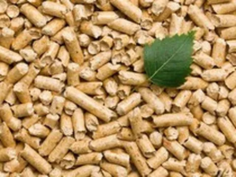 Điều lạ đang diễn ra tại 3 nhà máy điện than Việt Nam: Trộn gỗ vào than, có nơi tỷ lệ lên tới 30%