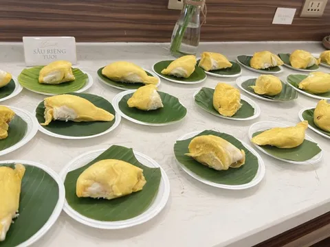 CLIP: Thưởng thức buffet sầu riêng ở Cần Thơ