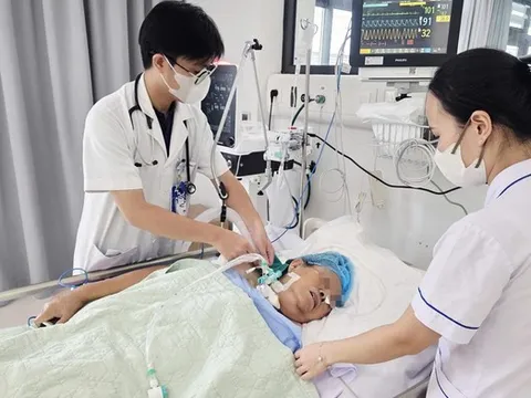 Gai hoa giấy đâm vào chân, cụ bà 71 tuổi nguy kịch