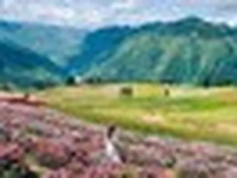 Phát hiện địa danh Việt Nam lọt Top 10 đẹp nhất thế giới, có thảo nguyên rộng 90 ha như "Thụy Sĩ thu nhỏ"