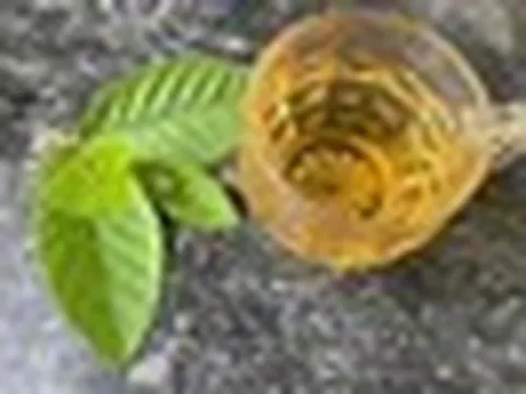 Lời khuyên dành cho tất cả những người uống nước lá ổi